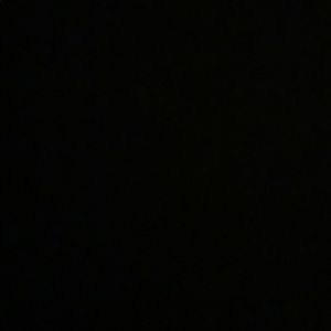 Meet your Posher, Paige